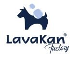 logo_lavakan_factory(fort)